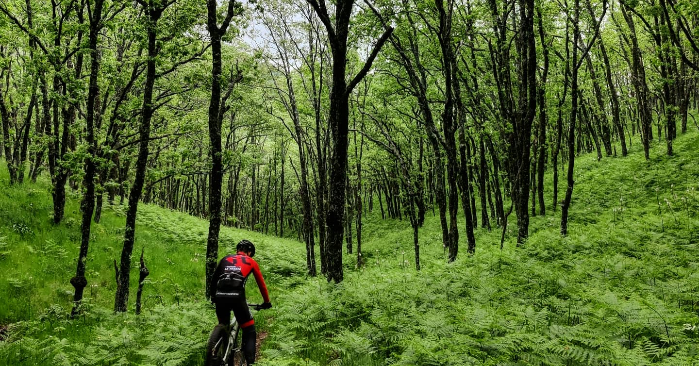 Ciclismo de Montaña en La Vera 